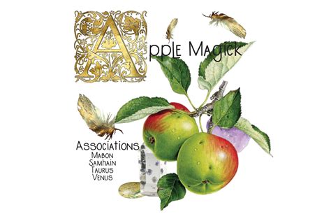The Healing Properties of Apples: A Magical Perspective